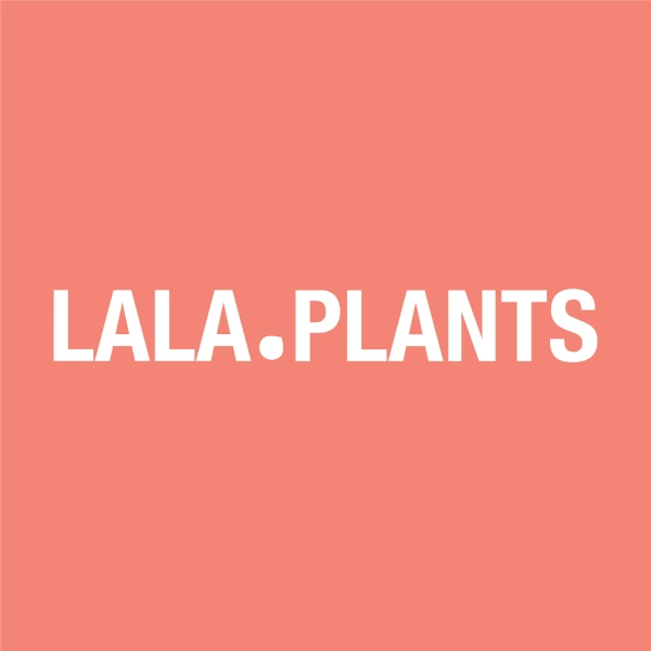 Komparify Lalaplants  senaste rabatter